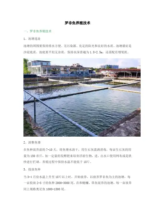 罗非鱼养殖技术