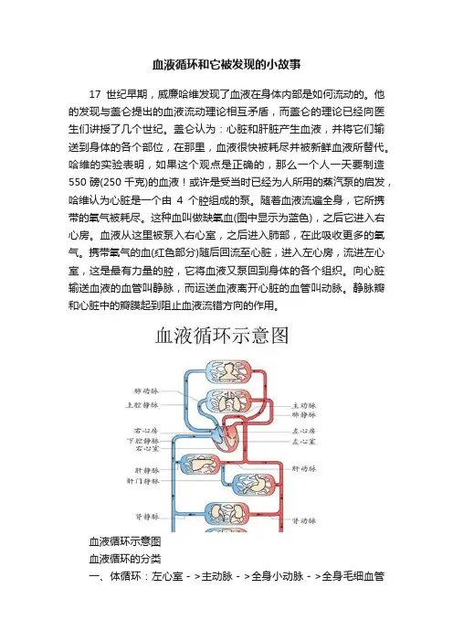 血液循环和它被发现的小故事