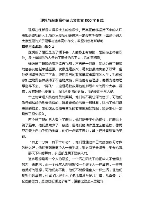 理想与追求高中议论文作文800字5篇