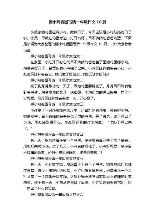 孵小鸡看图写话一年级作文10篇