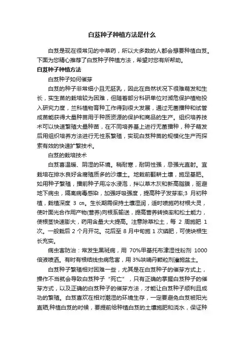 白芨种子种植方法是什么