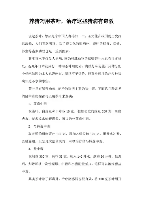 养猪巧用茶叶，治疗这些猪病有奇效