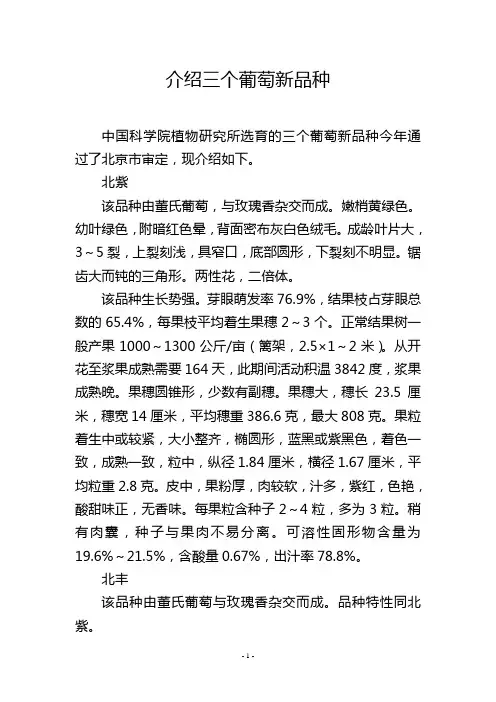 介绍三个葡萄新品种