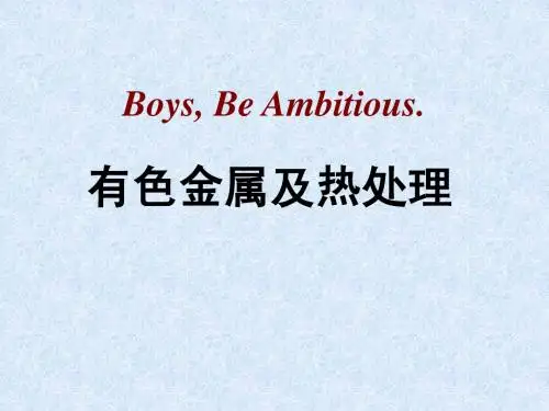 有色金属热处理第三章 镁及镁合金