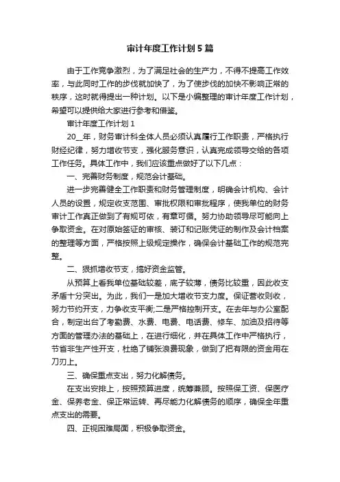 审计年度工作计划5篇