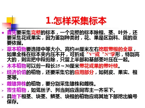 植物腊叶标本的采集制作和保存