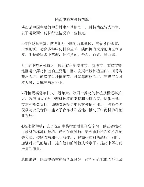 陕西中药材种植情况
