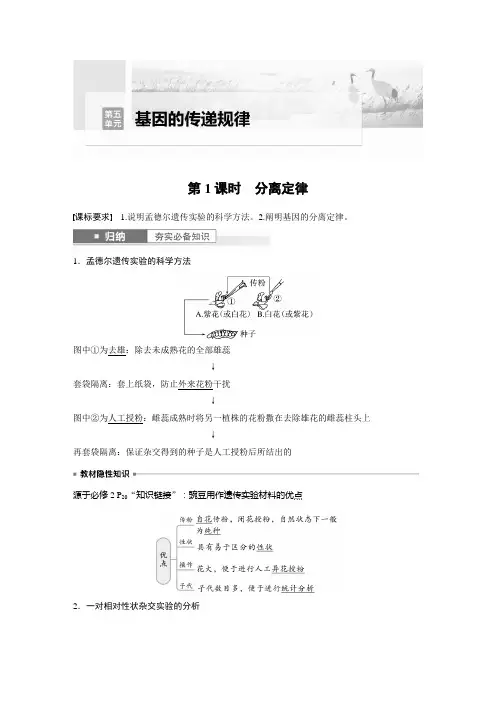 2024届高考一轮复习生物教案(苏教版)：分离定律