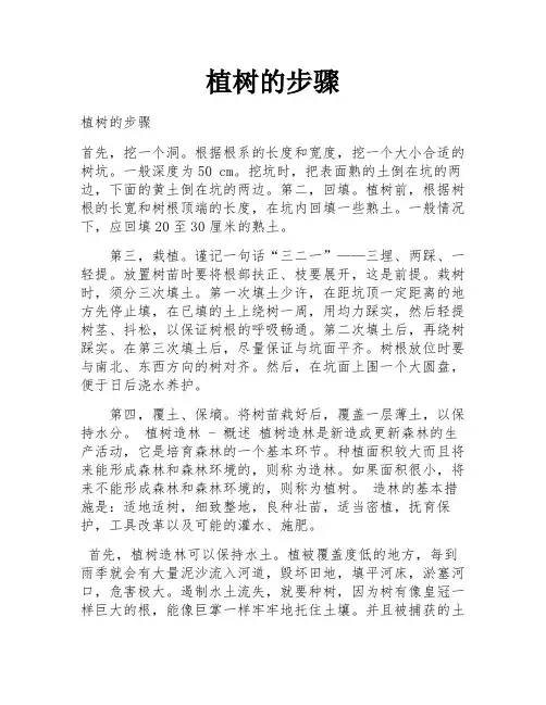 植树的步骤