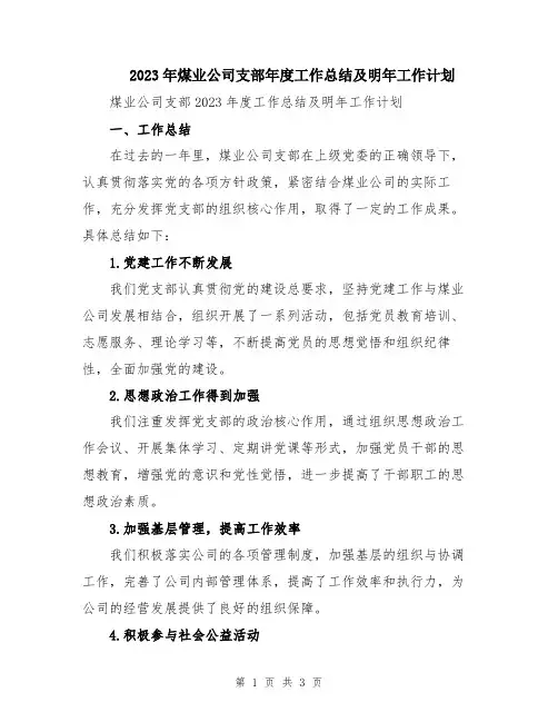 2023年煤业公司支部年度工作总结及明年工作计划