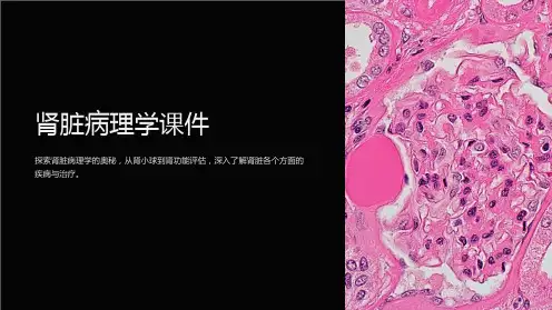 《肾脏病理学课件》