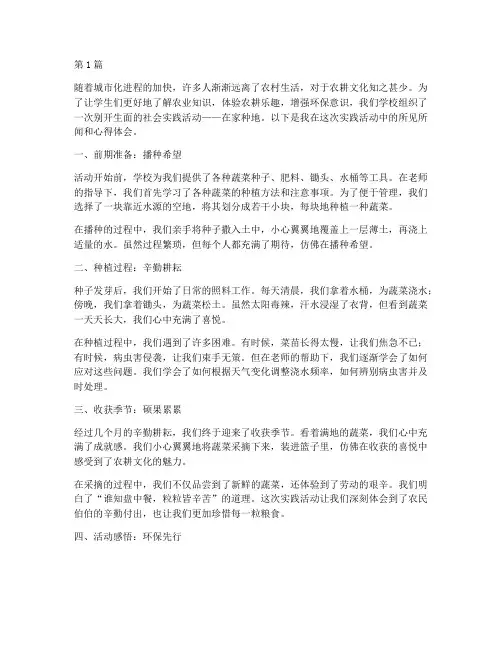 社会实践活动在家种地(3篇)