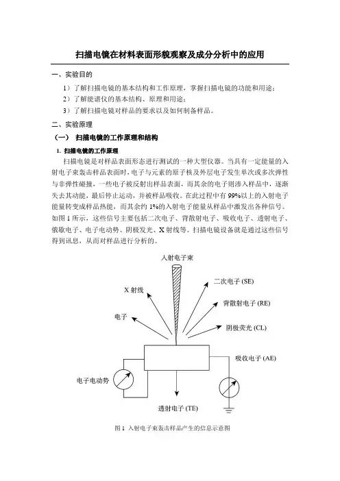 扫描电镜在材料表面形貌观察及成分分析中的应用