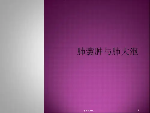 肺囊肿与肺大泡PPT课件