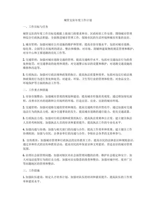 城管支队年度工作计划