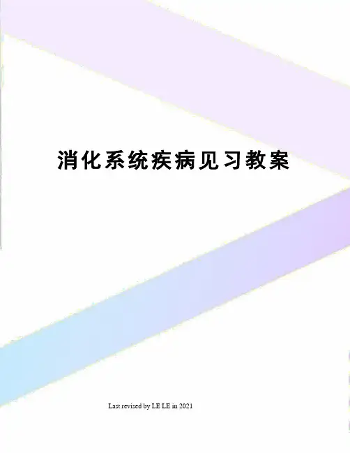 消化系统疾病见习教案
