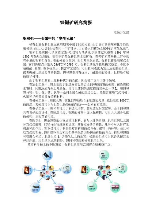 钽铌矿研究简报