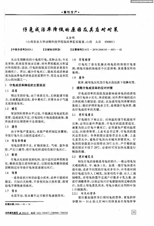仔兔成活率降低的原因及其应对对策