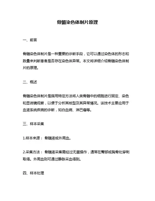 骨髓染色体制片原理