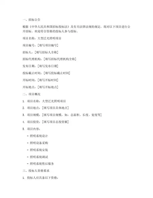 大型泛光照明招标文件