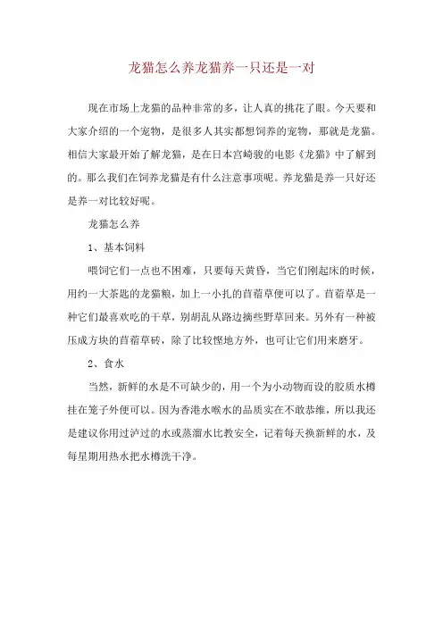 龙猫怎么养 龙猫养一只还是一对