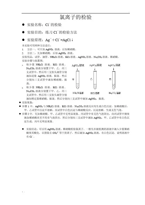 氯离子的检验实验报告