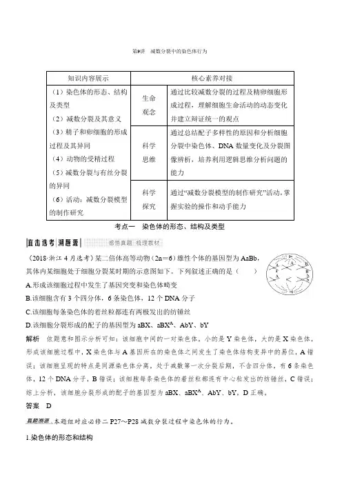 2020版生物浙江高考选考一轮复习讲义：第9讲 减数分裂中的染色体行为 含答案