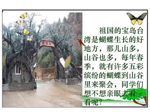 苏教版二年级下册语文《台湾的蝴蝶谷》课件PPT (1)