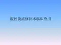 腹腔镜疝修补术 ppt课件