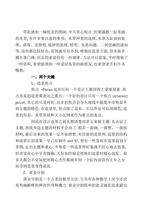 水草缸造景的方法技巧