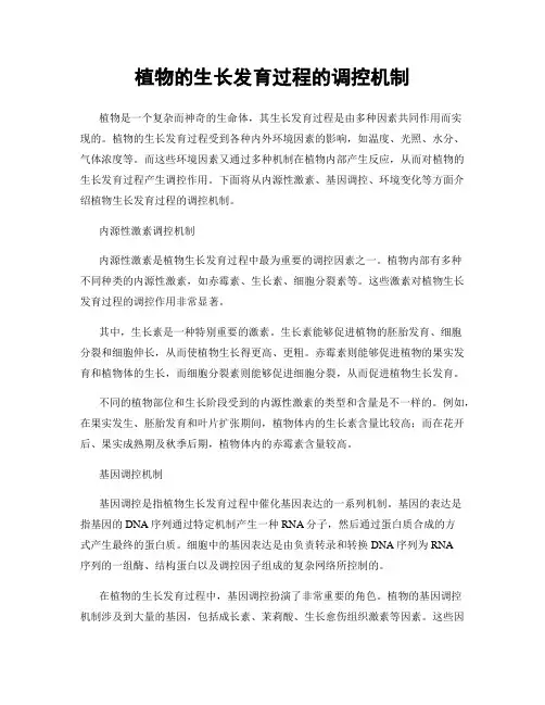 植物的生长发育过程的调控机制
