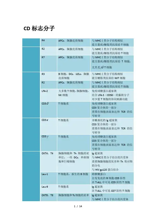 常见白细胞相关抗原(CD分子)