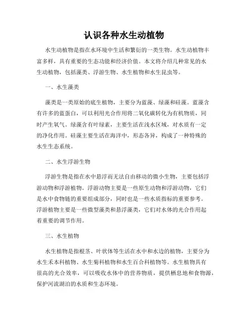认识各种水生动植物