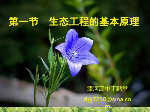 人教版教学课件人教新课标版(选修3)生态工程—第一节生态工程的基本原理