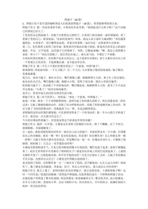 2024最新-照镜子(10篇)