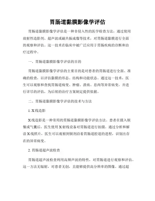 胃肠道黏膜影像学评估
