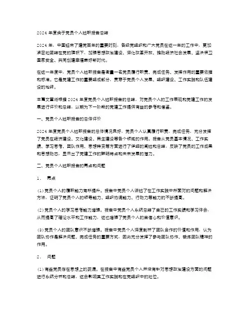 2024年度关于党员个人述职报告总结