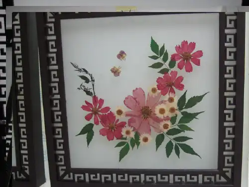 小学植物标本制作-(教学PPT)