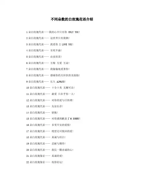 不同朵数的白玫瑰花语介绍
