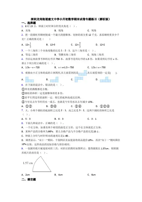 深圳龙岗街道建文中学小升初数学期末试卷专题练习（解析版） (2)