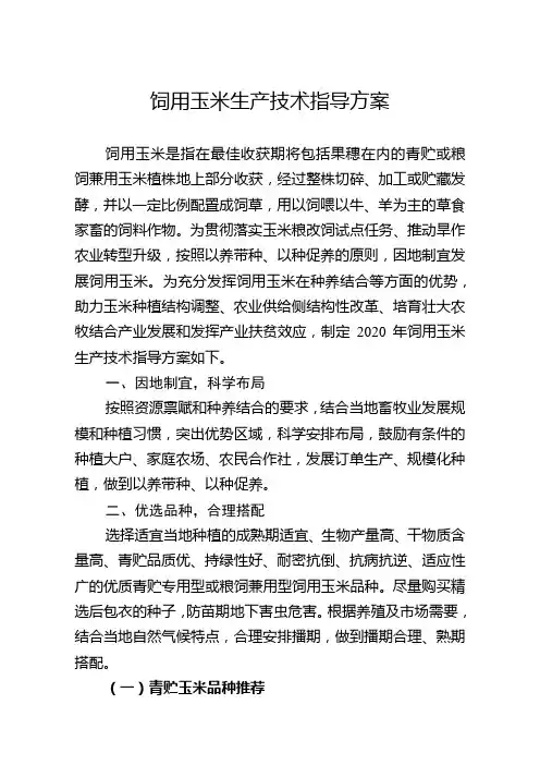 饲用玉米生产技术指导方案
