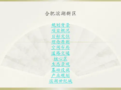 最终：合肥滨湖新城整体规划