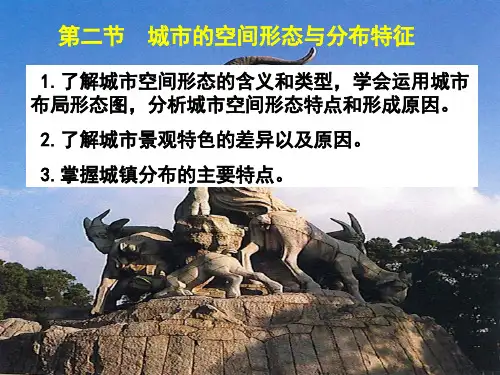 2.2城市的空间形态与分布特征