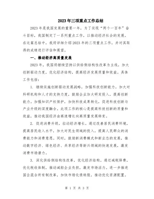 2023年三项重点工作总结
