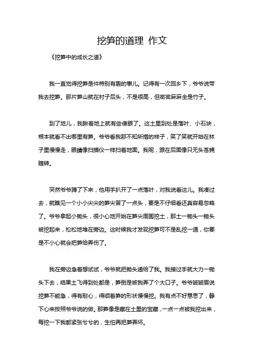挖笋的道理 作文