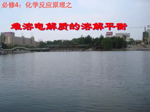 人教版化学选修四第四节《难溶电解质的溶解平衡》PPT课件