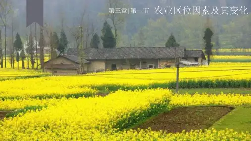 3-1农业区位因素及其变化(教学课件)——高中地理人教版(2019)必修二