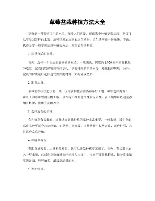 草莓盆栽种植方法大全