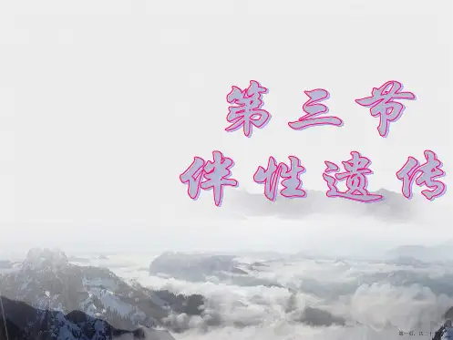 伴性遗传PPT课件