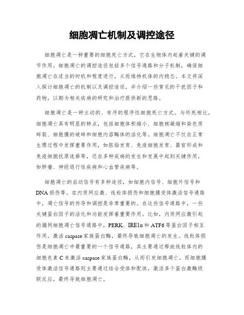 细胞凋亡机制及调控途径